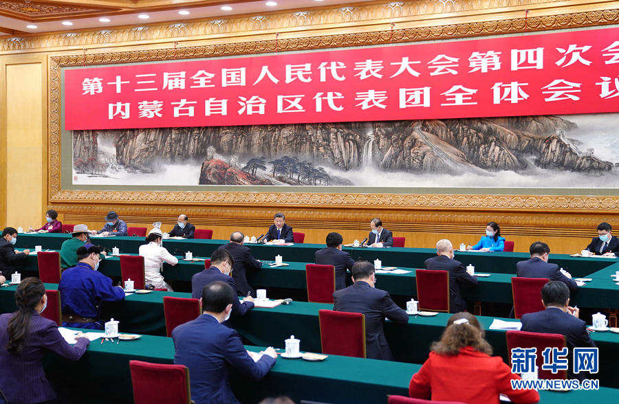 3月5日，中共中央總書記、國家主席、中央軍委主席習近平參加十三屆全國人大四次會議內(nèi)蒙古代表團的審議。新華社記者 謝環(huán)馳 攝